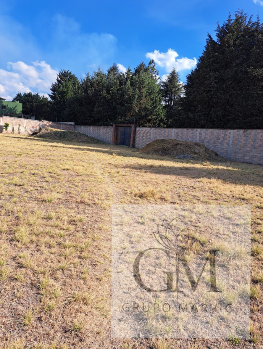 Imagen 4 de Jardín Carretonco